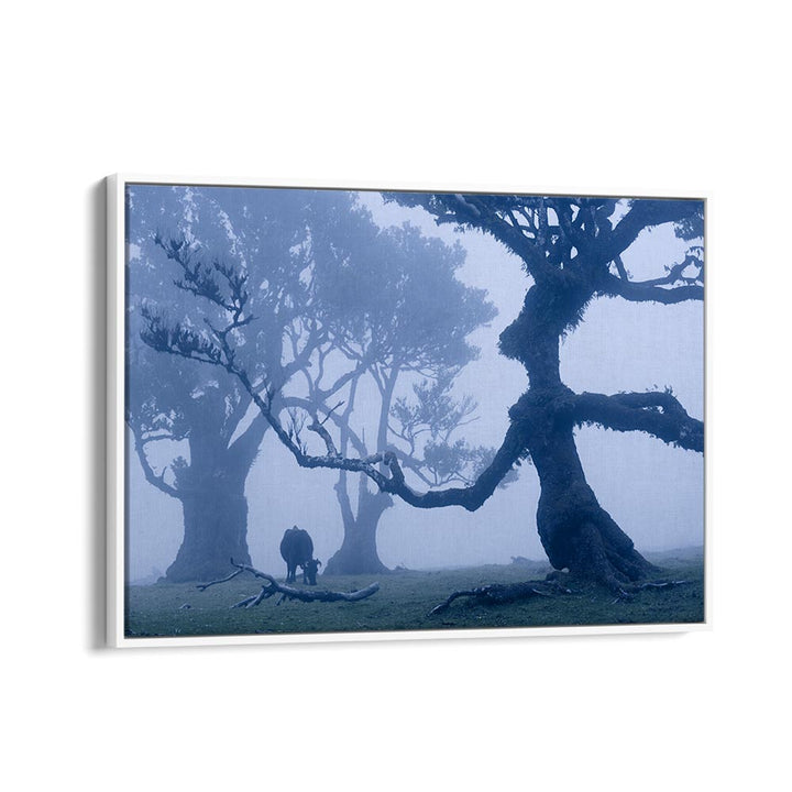 BLUE ENT , LANDSCAPE PHOTO PRINTS , LANDSCAPE PHOTOGRAPHY