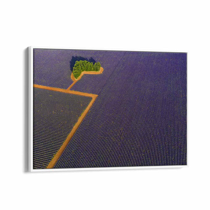 LAVENDER GRAPHIC BY MARC PELISSIER , LANDSCAPE PHOTO PRINTS