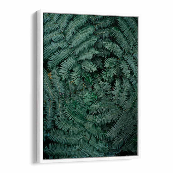 GREEN LEAVES , PHOTOGRAPHY PRINTS