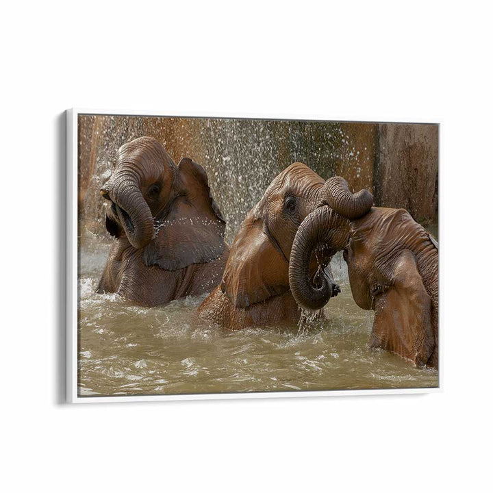 BATH TIME PLAY BY MARC PELISSIER , LANDSCAPE PHOTO PRINTS