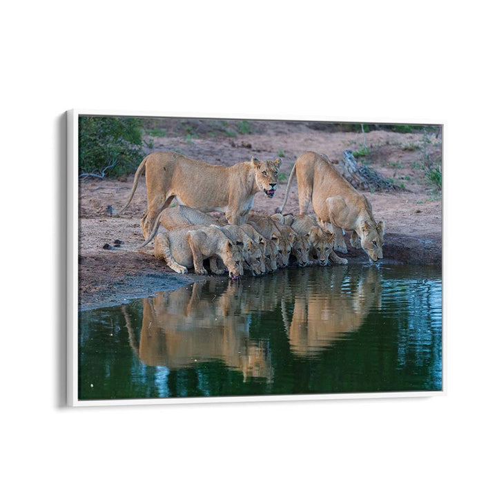 THE FAMILY II BY MARC PELISSIER , LANDSCAPE PHOTO PRINTS