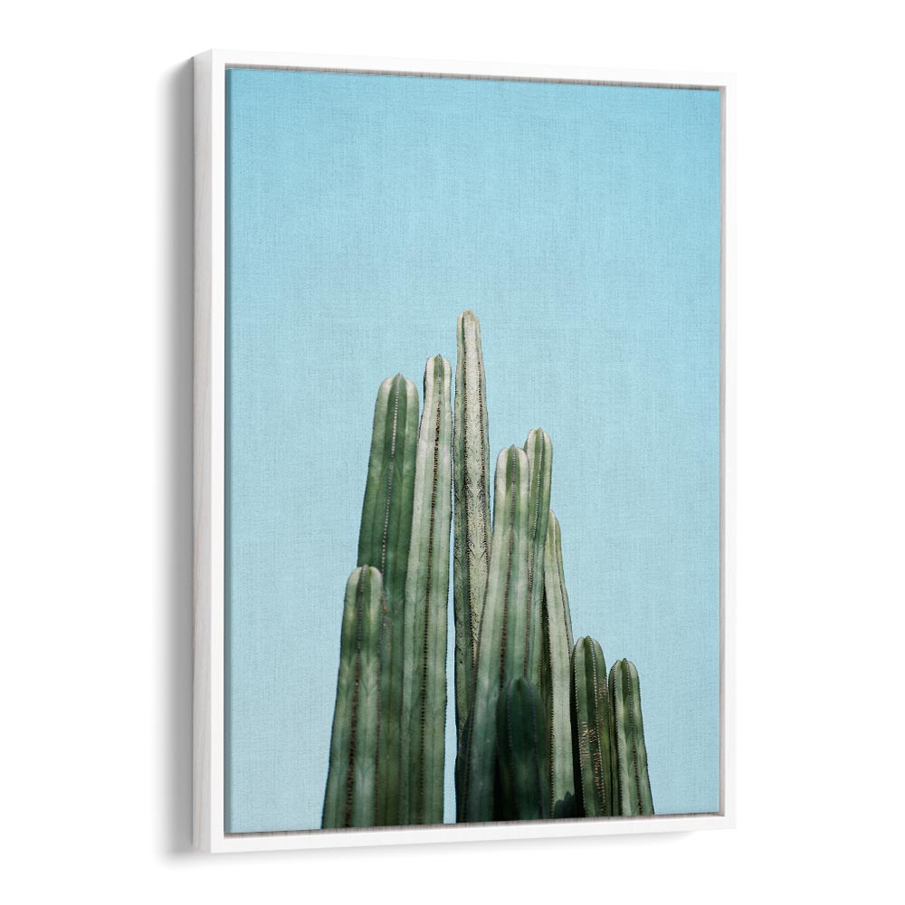 CACTI BY RAISA ZWART , LANDSCAPE PHOTO PRINTS