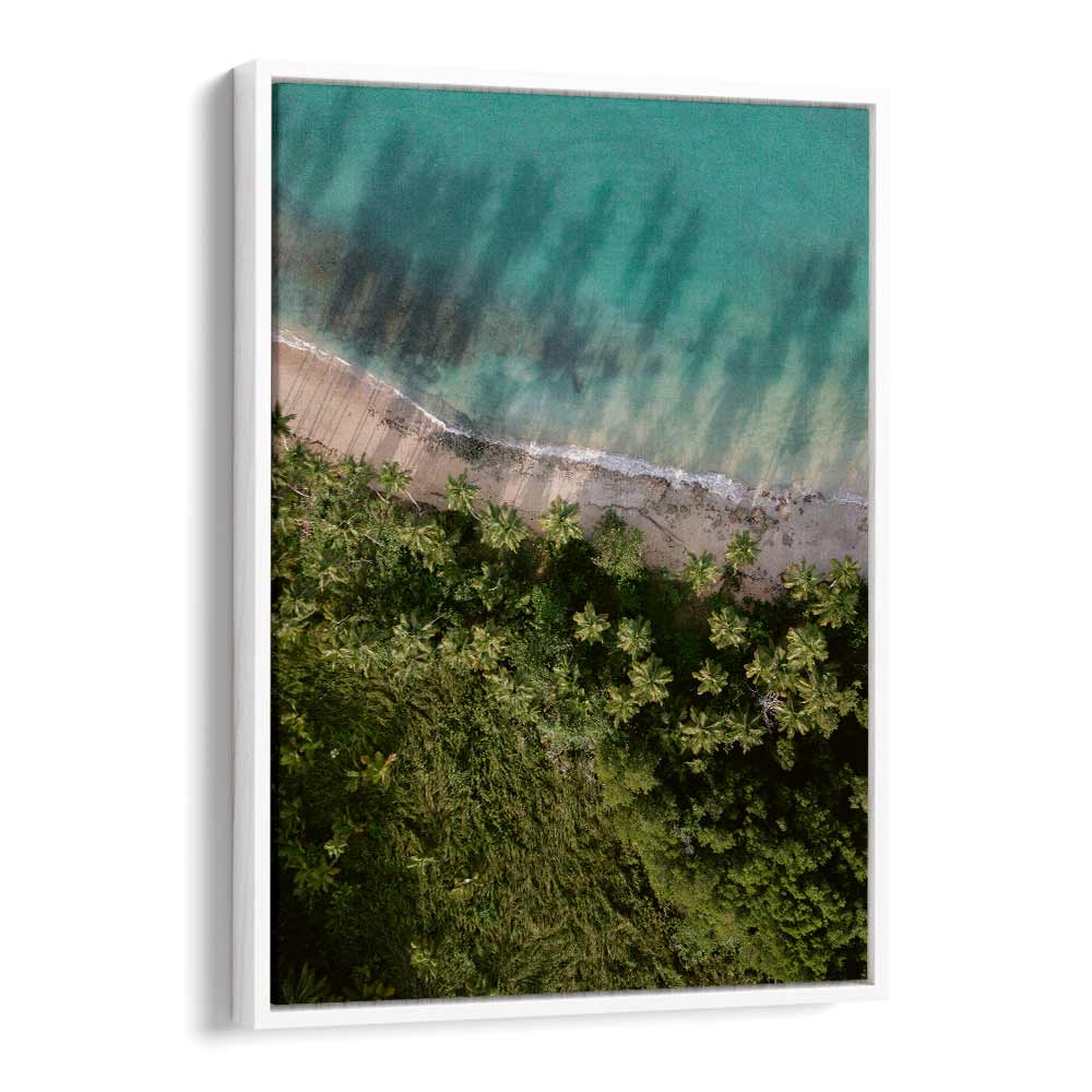 PALM BEACH FROM ABOVE  BY RAISA ZWART , LANDSCAPE PHOTO PRINTS