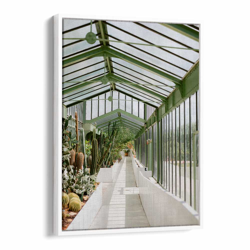 BOTANICAL GARDEN OF PARIS BY RAISA ZWART , LANDSCAPE PHOTO PRINTS