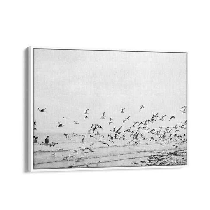 SEAGULLS - COASTAL BLACK AND WHITE BY RAISA ZWART , LANDSCAPE PHOTO PRINTS