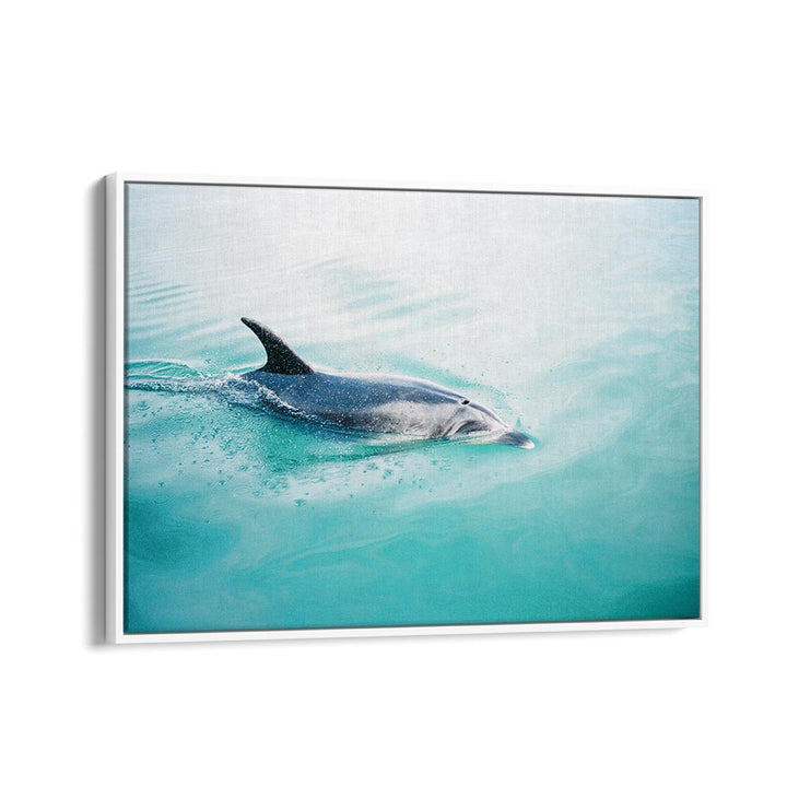 DOLPHIN N.Z. NORTHERN BY RAISA ZWART , LANDSCAPE PHOTO PRINTS