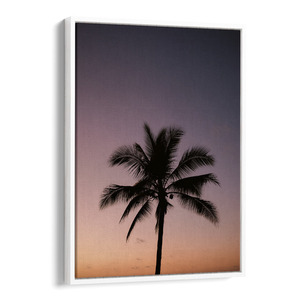 COSTA RICA PALM TREE BY RAISA ZWART , LANDSCAPE PHOTO PRINTS