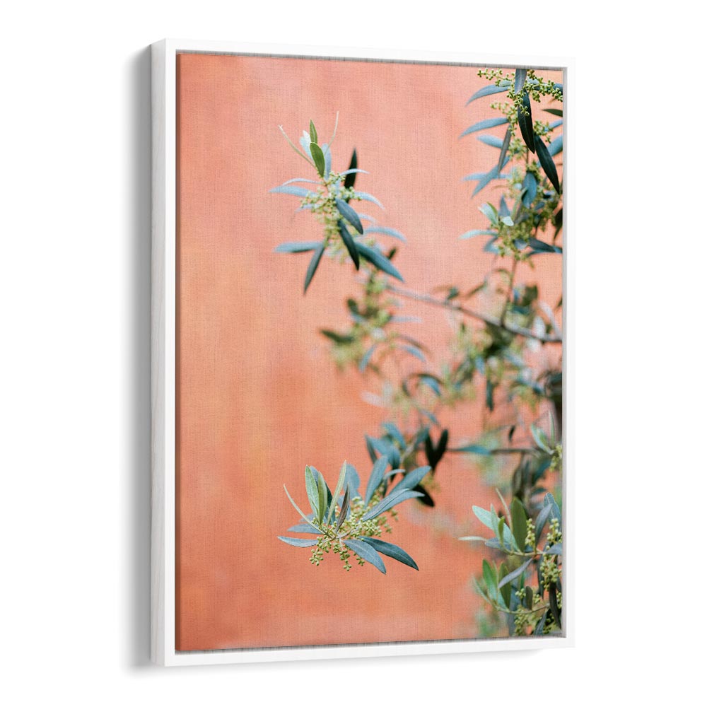 GREEN AND CORAL , PHOTOGRAPHY PRINTS