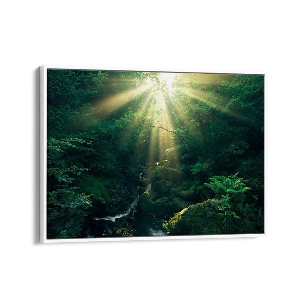 GREEN RAYS BY STEFAN HEFELE , LANDSCAPE PHOTO PRINTS