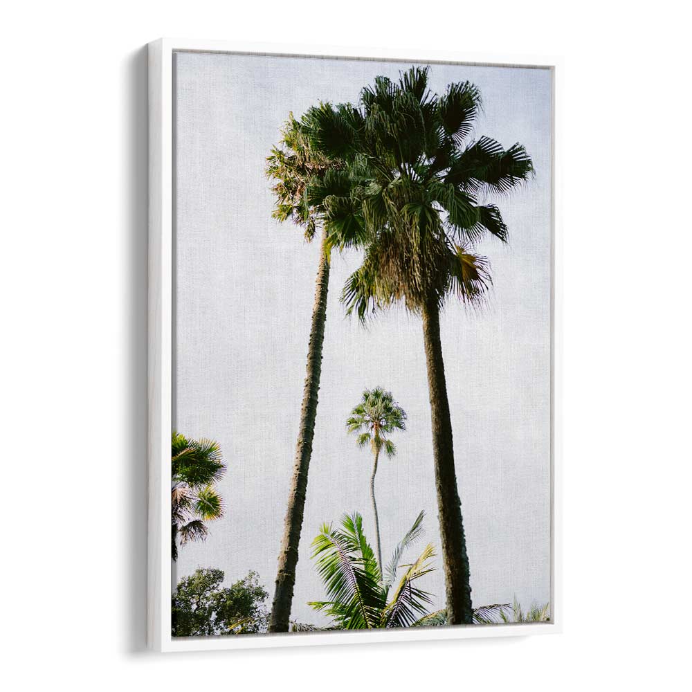 FIND ME UNDER THE PALM TREE , PHOTOGRAPHY PRINTS