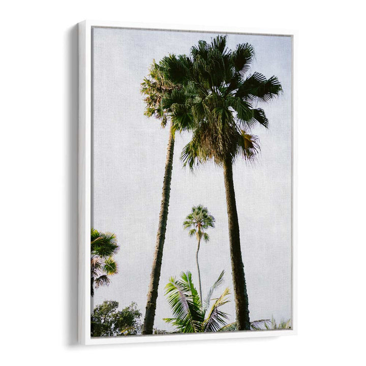 FIND ME UNDER THE PALM TREE , PHOTOGRAPHY PRINTS