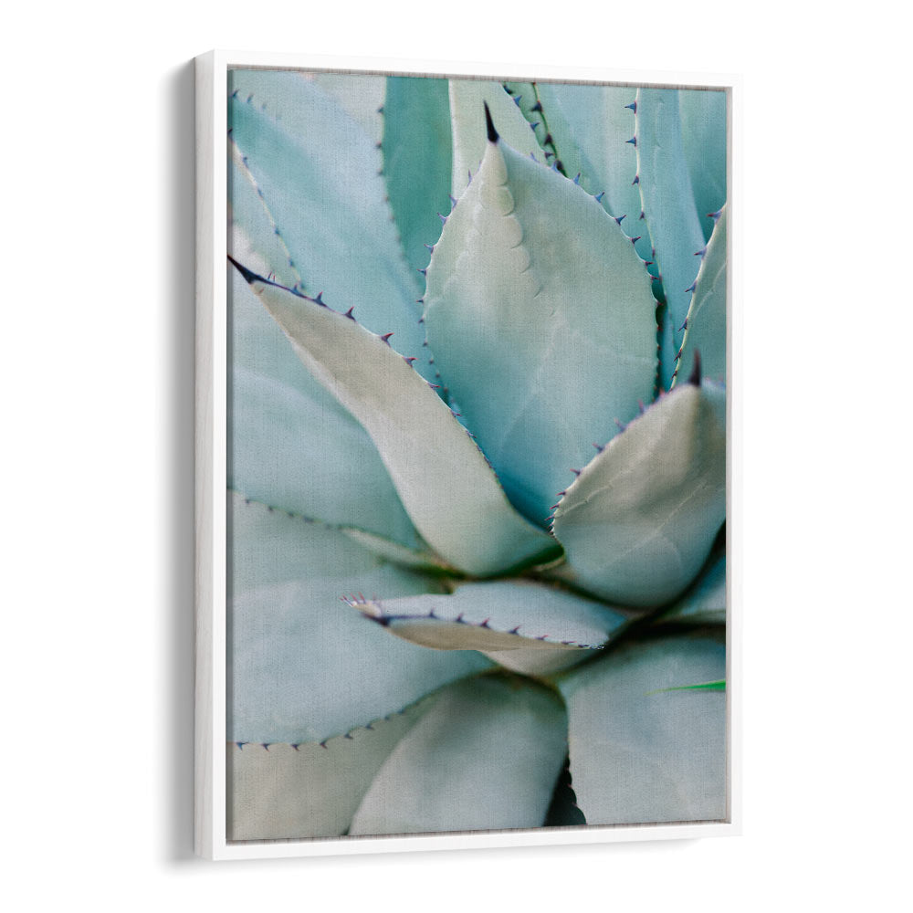 SUCCULENT GREEN BY RAISA ZWART , LANDSCAPE PHOTO PRINTS