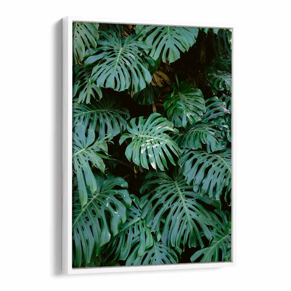 MONSTERA WALL IN LISBON , PHOTOGRAPHY PRINTS