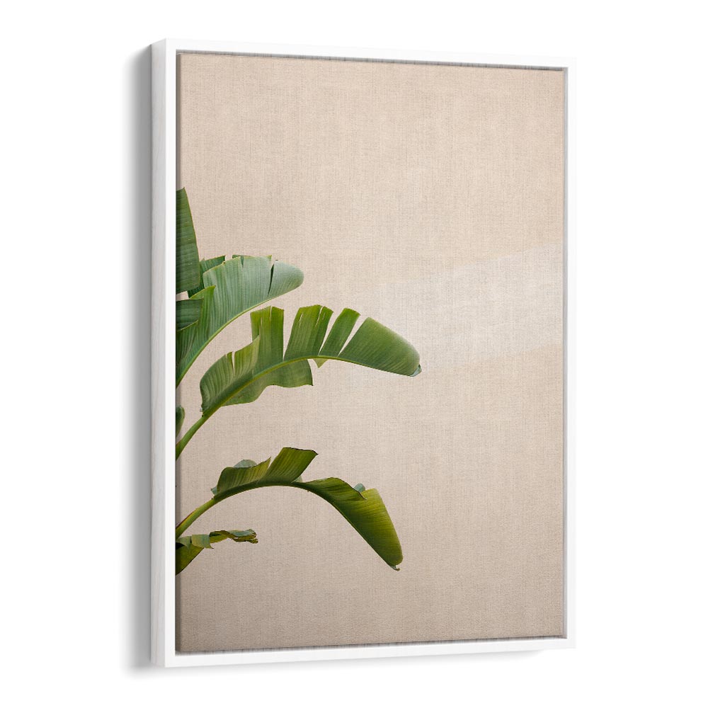 CANNES BANANA PLANT BY RAISA ZWART , LANDSCAPE PHOTO PRINTS