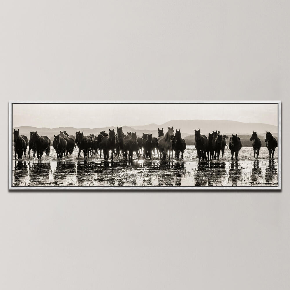 HORSES , PANORAMIC ART