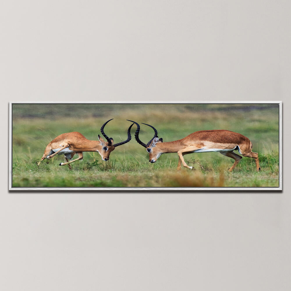 DANCING IN THE RAIN , PANORAMIC ART