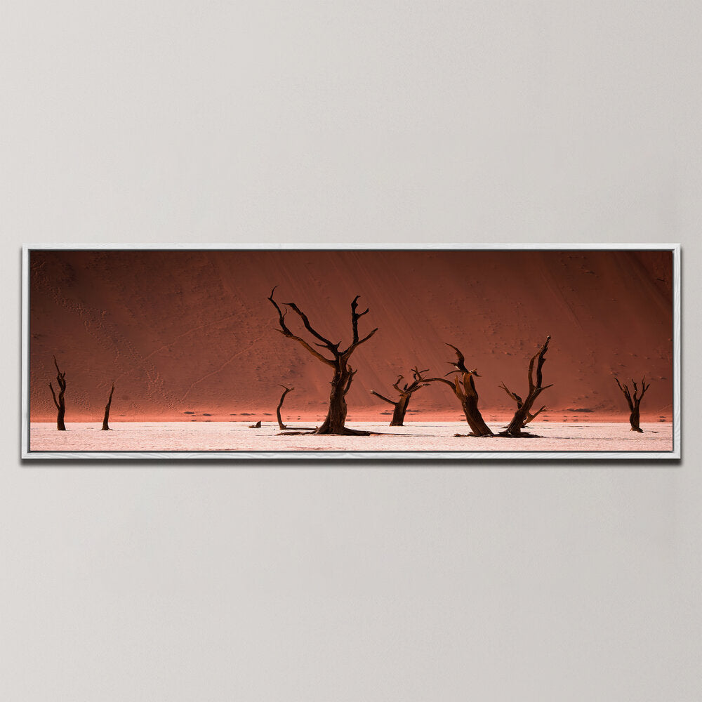 LANDSCAPES OF NAMIBIA DEADVLEI , PANORAMIC ART