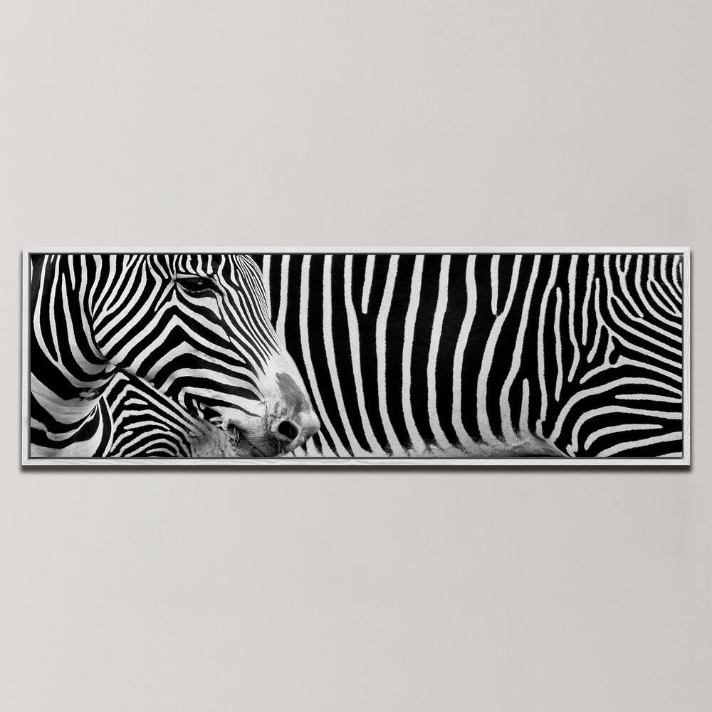 ZEBRA I , PANORAMIC ART