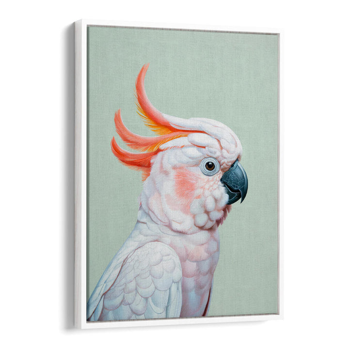 WHITE COCKATOO NO 1