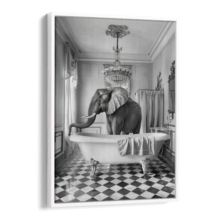 A BATHROOM OCCUPIED