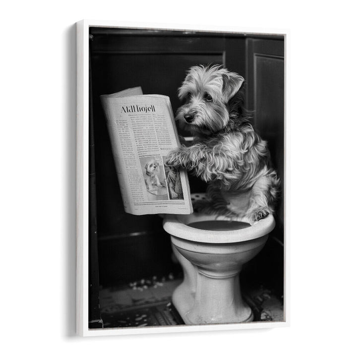 DOGGY DOING A DOO DOO