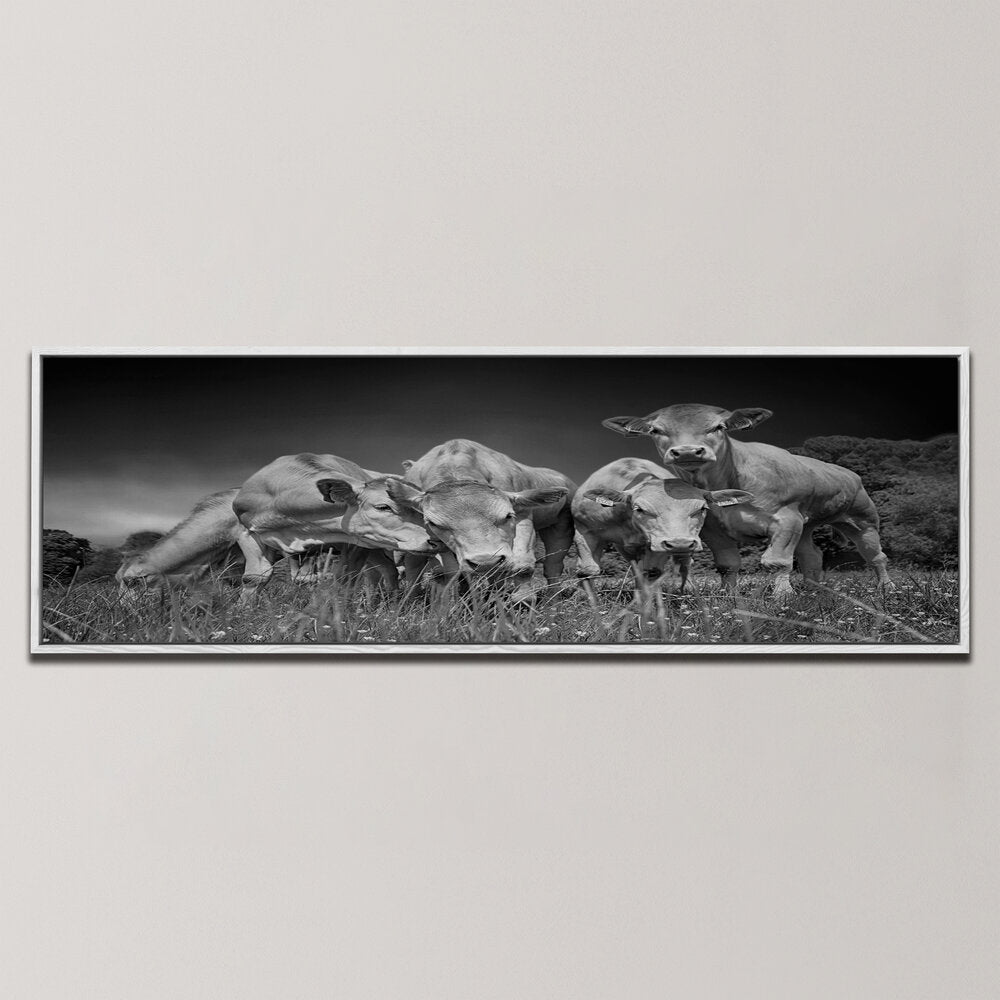 FUNNY COWS , PANORAMIC ART