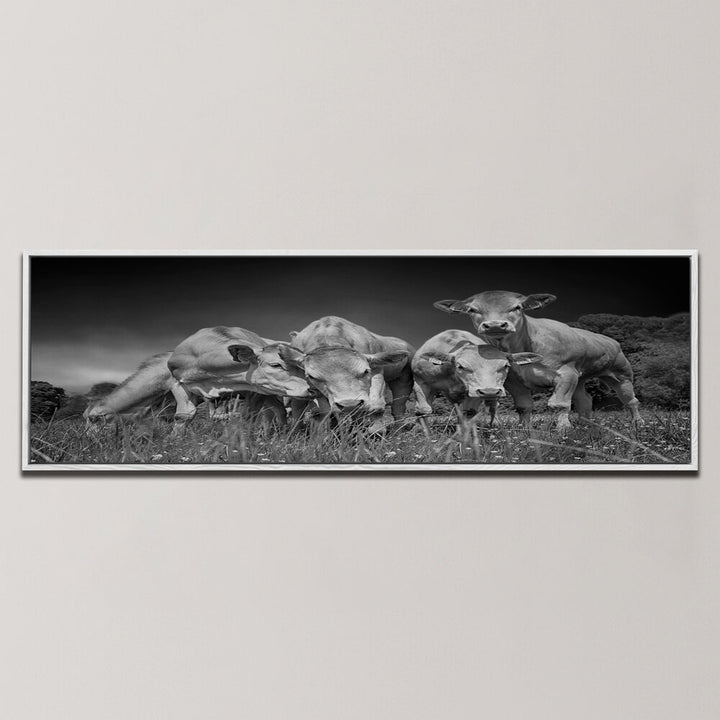 FUNNY COWS , PANORAMIC ART