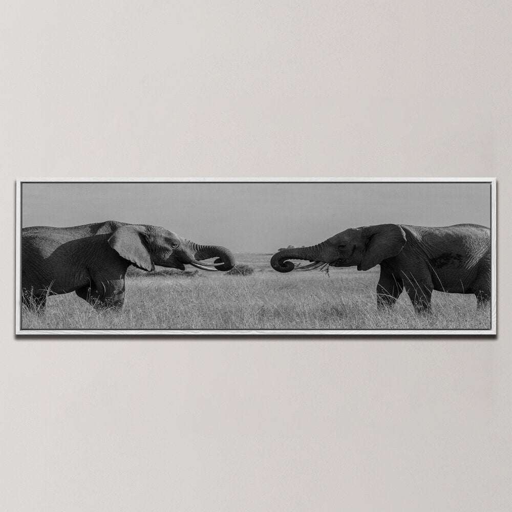 YOUNG ELEPHANTS SHOW OF POWER , PANORAMIC ART