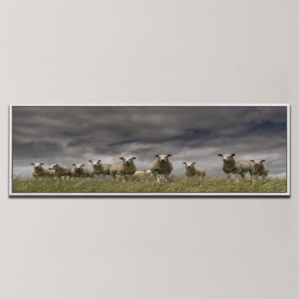 WE COME IN PEACE , PANORAMIC ART