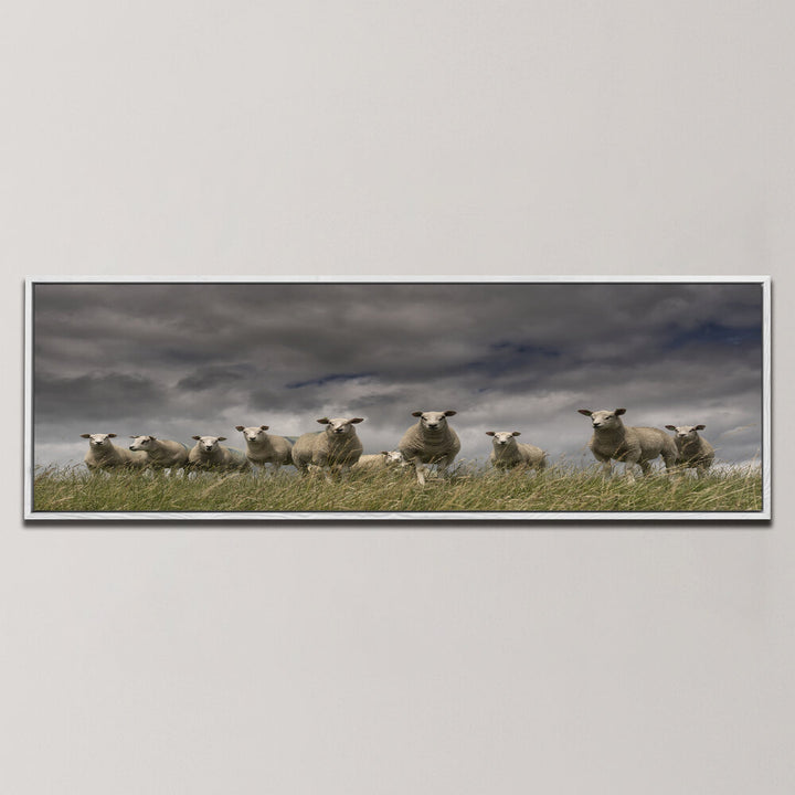 WE COME IN PEACE , PANORAMIC ART