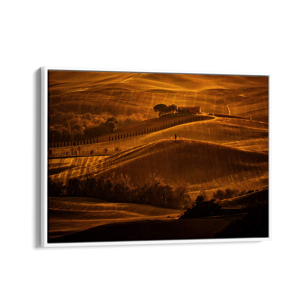 IL CIPRESSO , PHOTOGRAPHY PRINTS