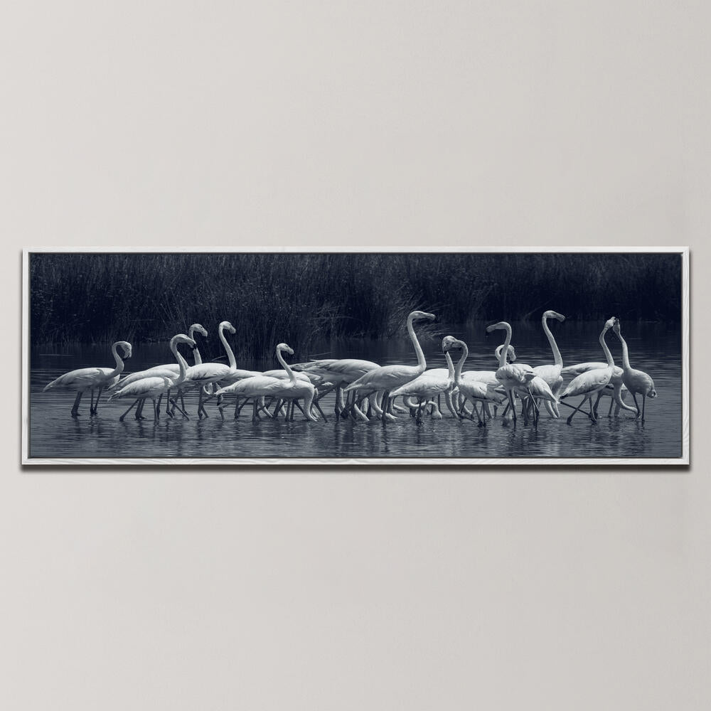 FLAMINGOS , PANORAMIC ART