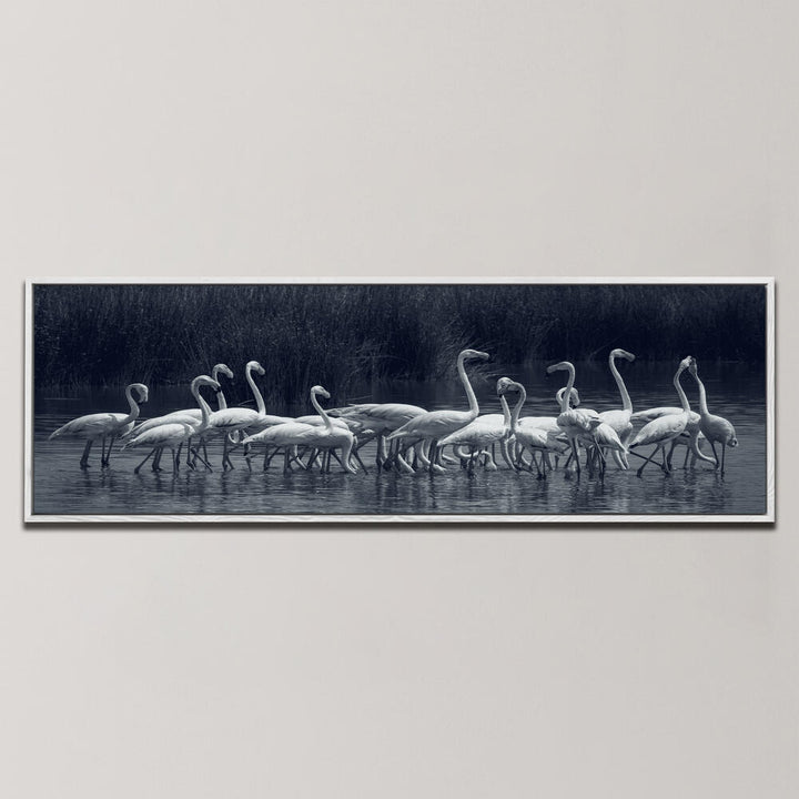 FLAMINGOS , PANORAMIC ART