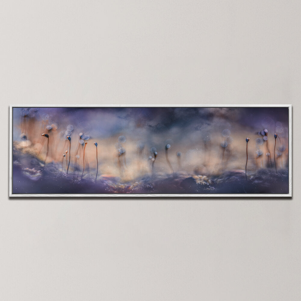 FOREST DREAMS , PANORAMIC ART