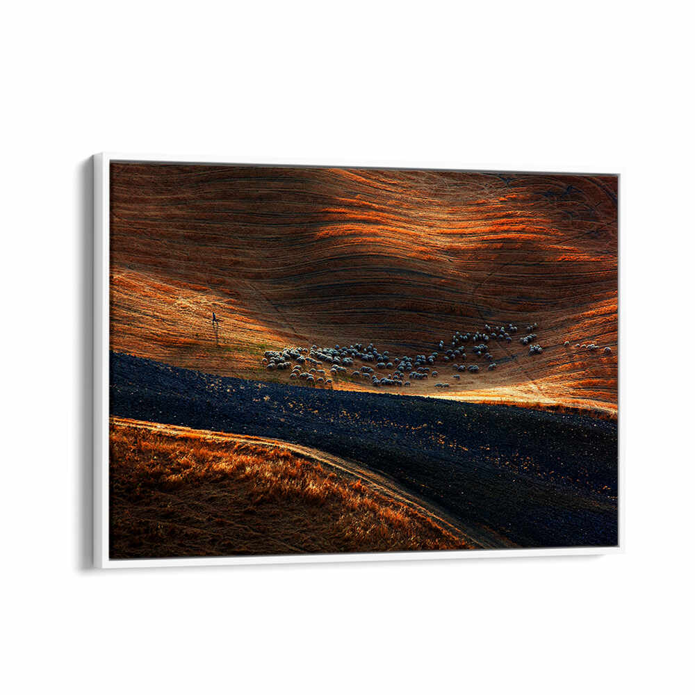 IL GREGGE , PHOTOGRAPHY PRINTS