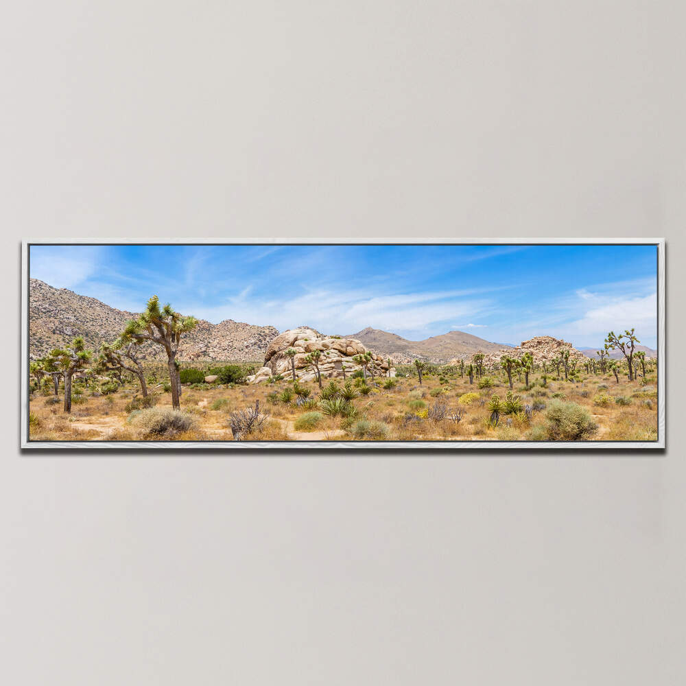 SCENIC JOSHUA TREE NATIONAL PARK , PANORAMIC ART