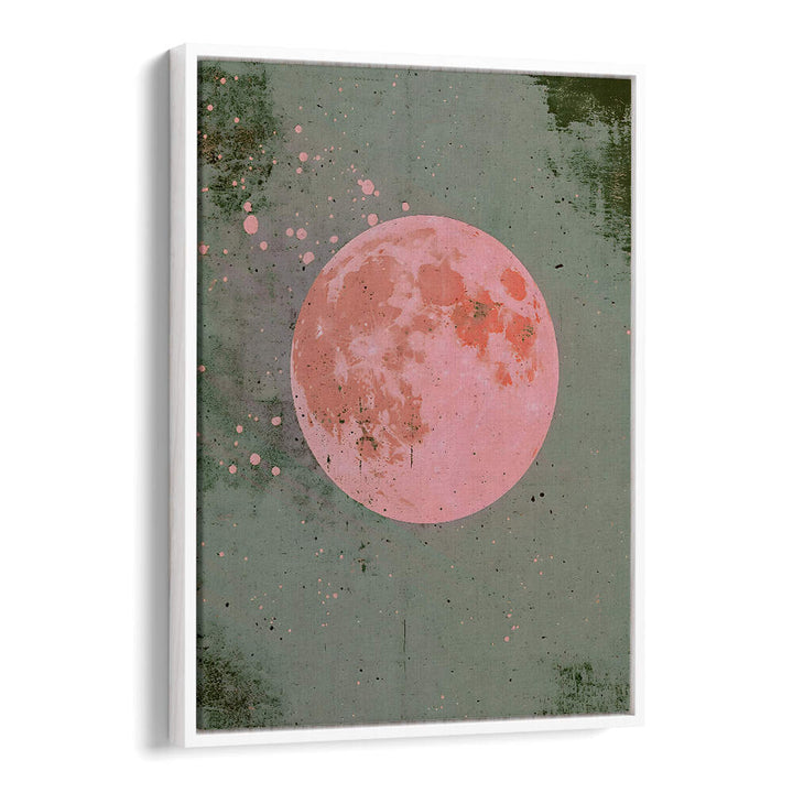 PINK MOON