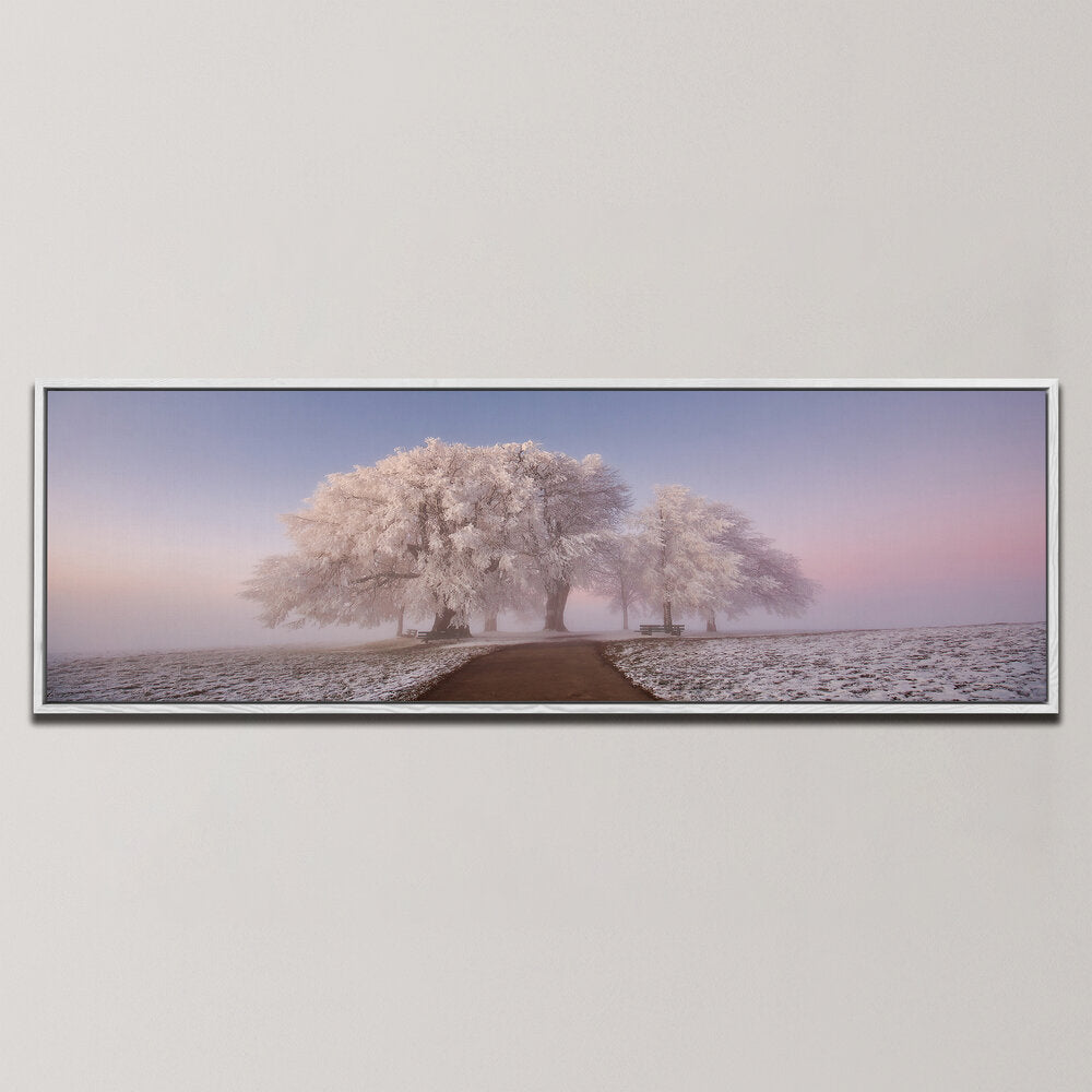 FROZEN INTO FROST , PANORAMIC ART