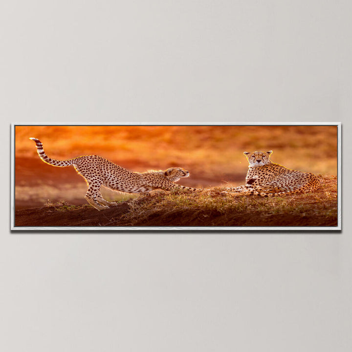 TWO CHEETAHS , PANORAMIC ART