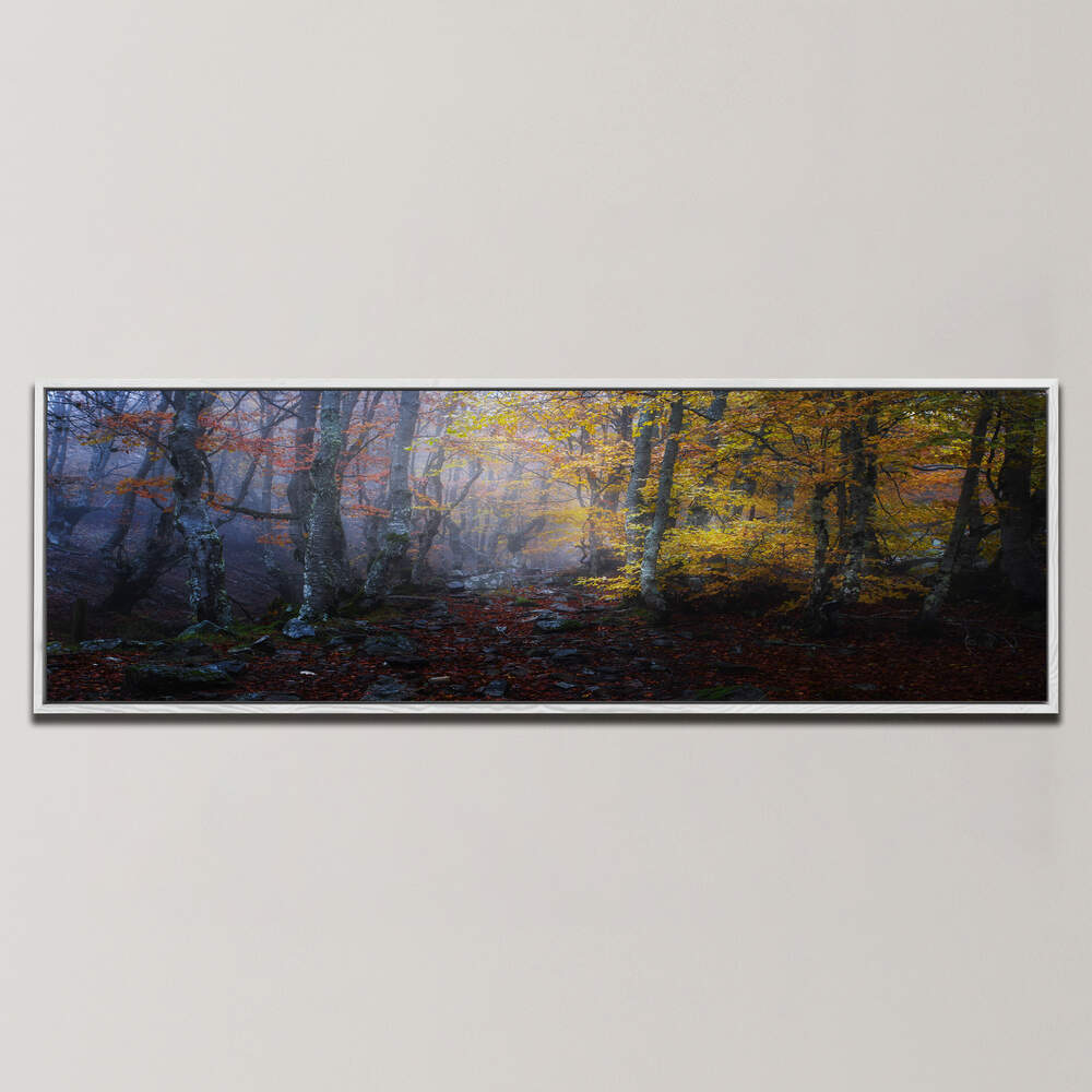 HAYEDO , PANORAMIC ART