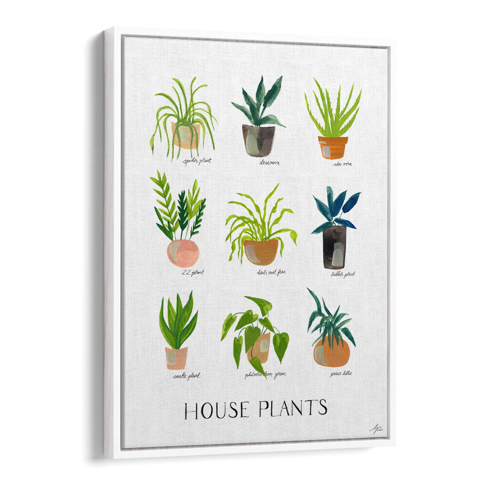 HOUSEPLANTS , FLORAL FLOWER PAINTINGS