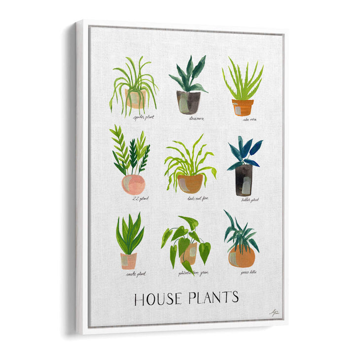 HOUSEPLANTS , FLORAL FLOWER PAINTINGS