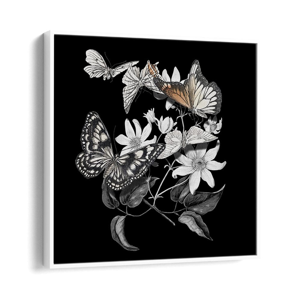 ELEGANT BOTANICAL BUTTERFLIES