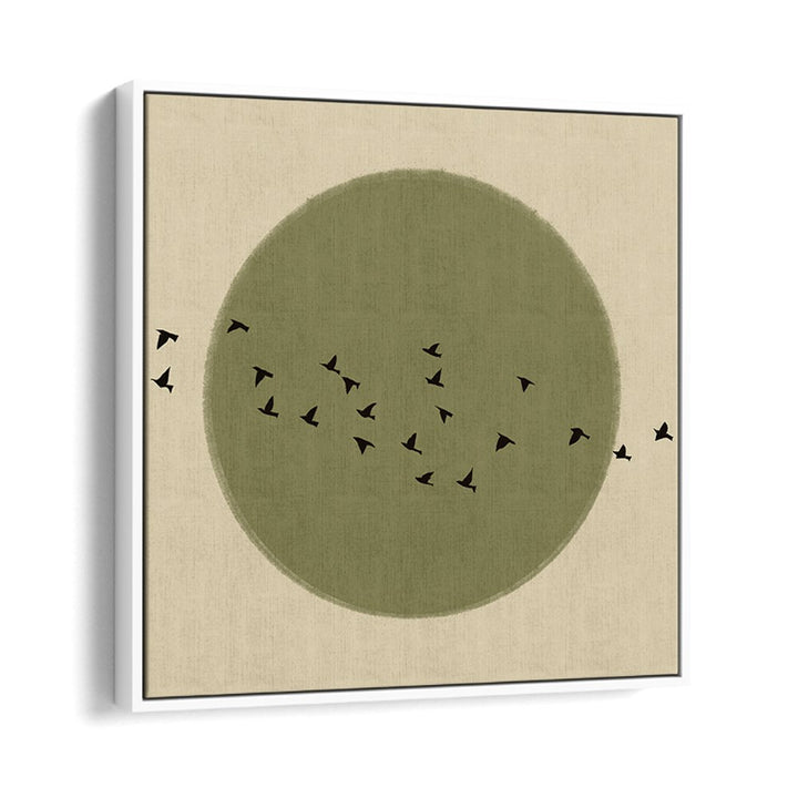GRACEFUL BIRDS SOARING