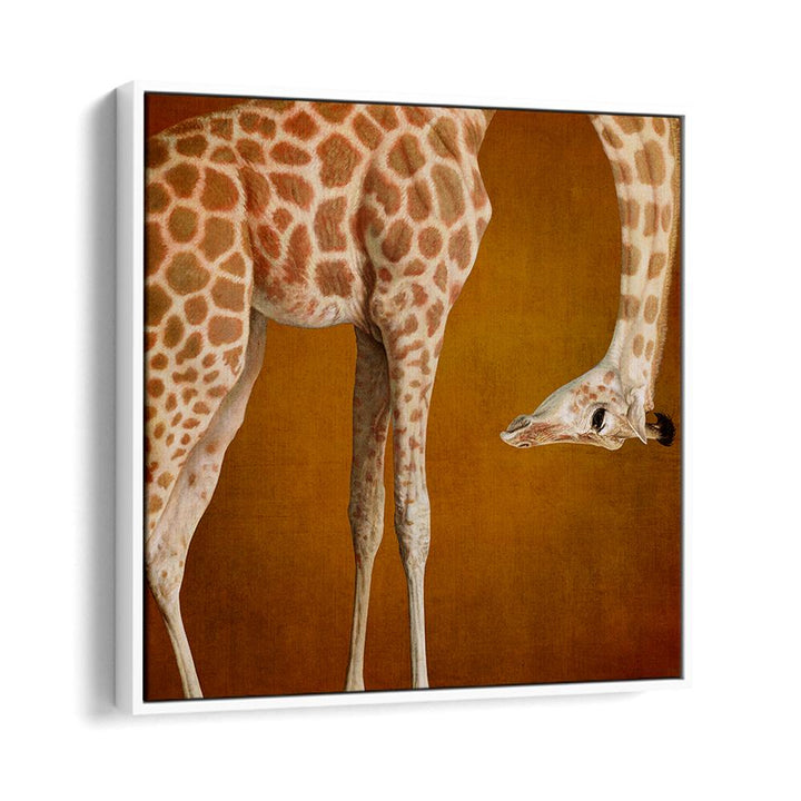 GRACEFUL GIRAFFE PORTRAIT