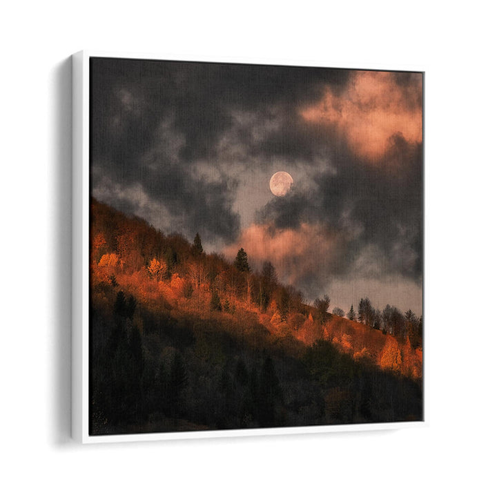 MOON DOESN'T WANT TO GO