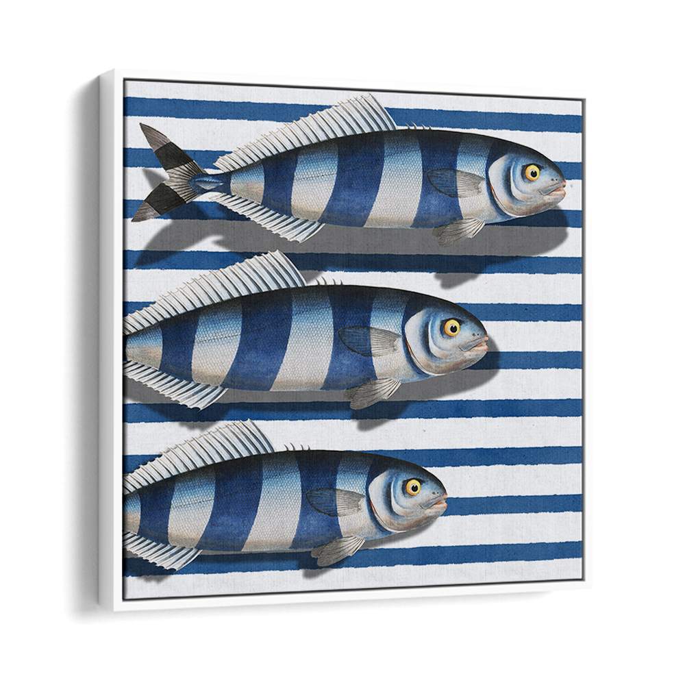 STRIPED OCEAN FISH