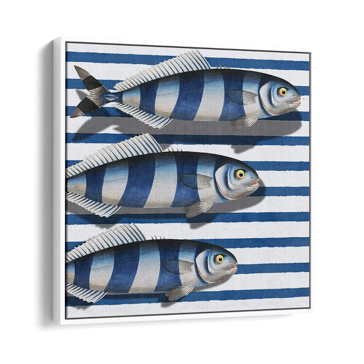 STRIPED OCEAN FISH