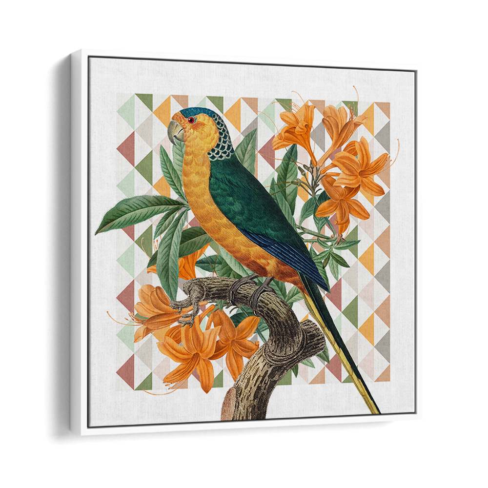 VIBRANT PARROT ILLUSTRATION