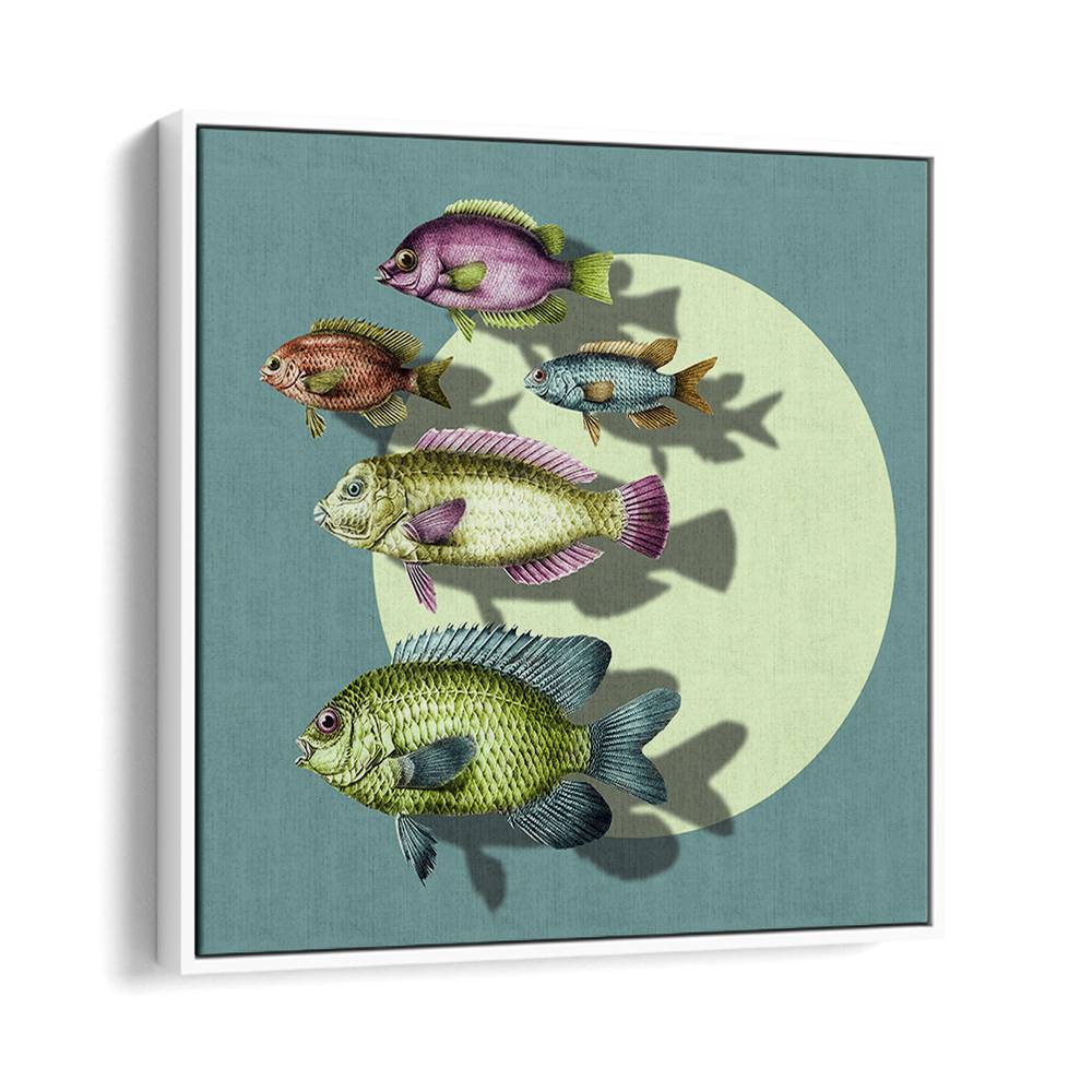 VIBRANT SWIMMING FISH